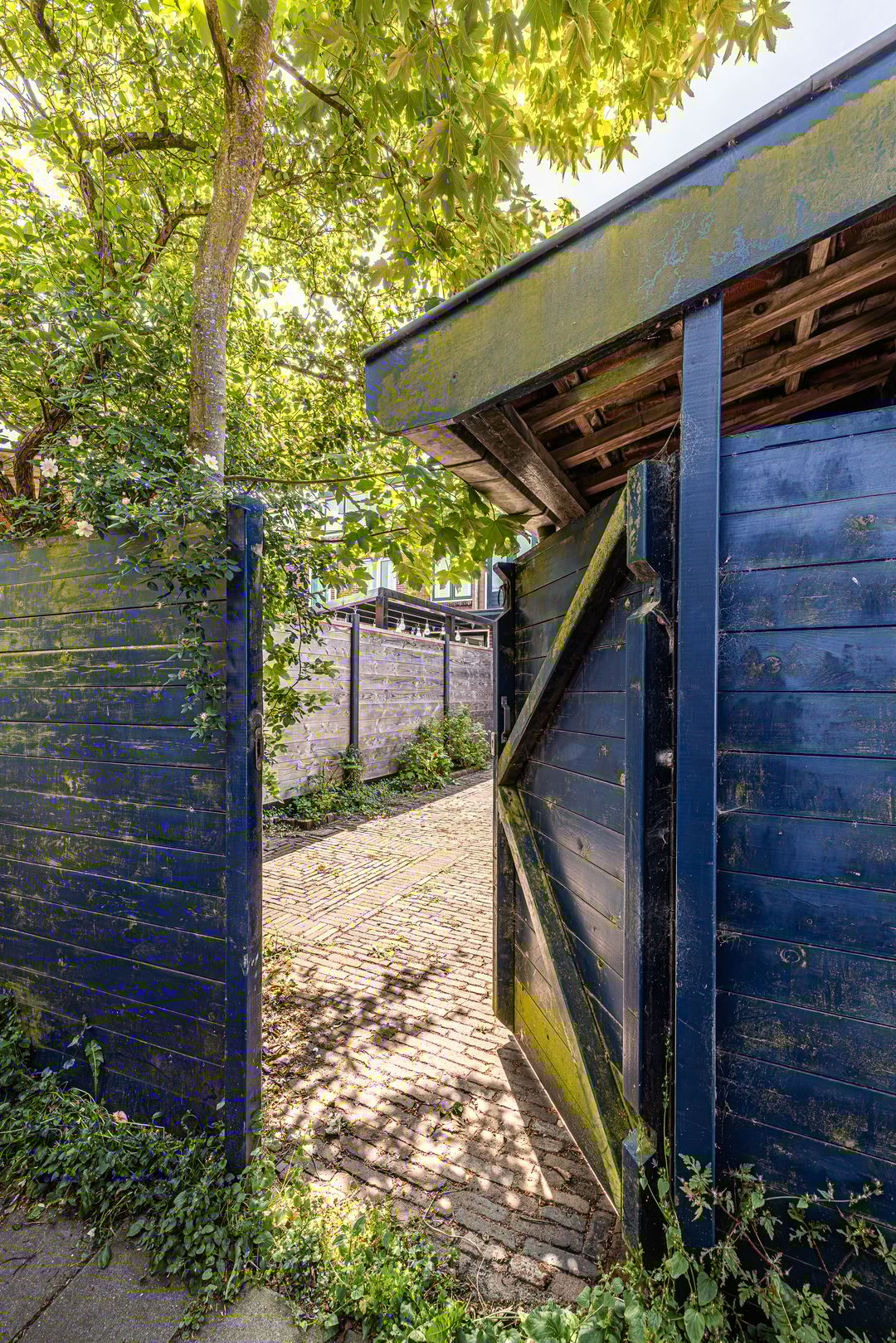 Foto 31 van Melchior Treublaan 29