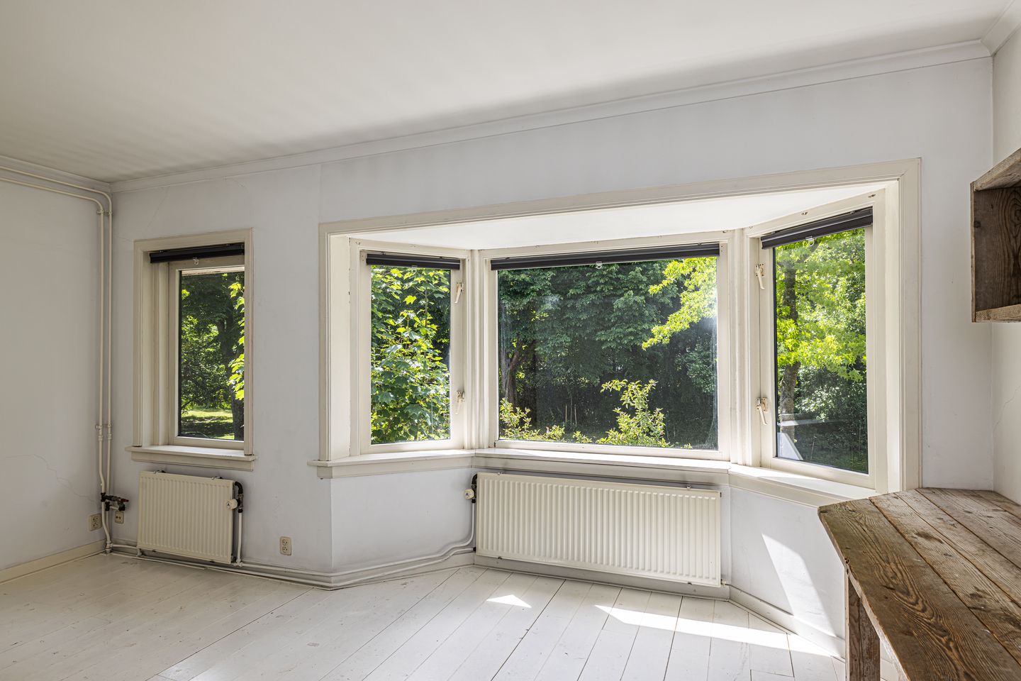 Foto 40 van Melchior Treublaan 29