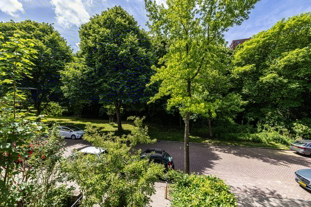 Foto 41 van Melchior Treublaan 29