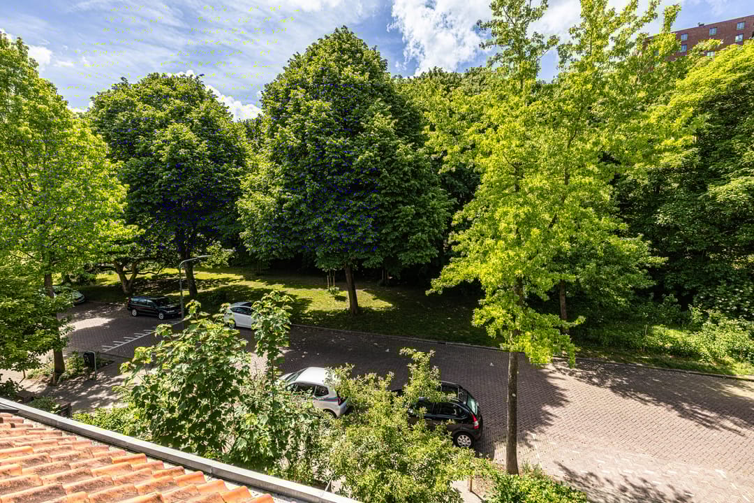 Foto 56 van Melchior Treublaan 29