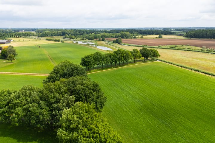 Foto 38 van Anholtseweg 49