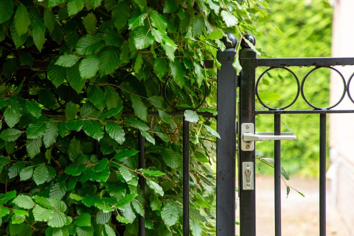 Foto 40 van Anholtseweg 49