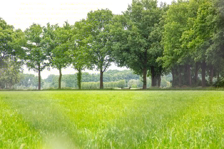 Foto 66 van Anholtseweg 49