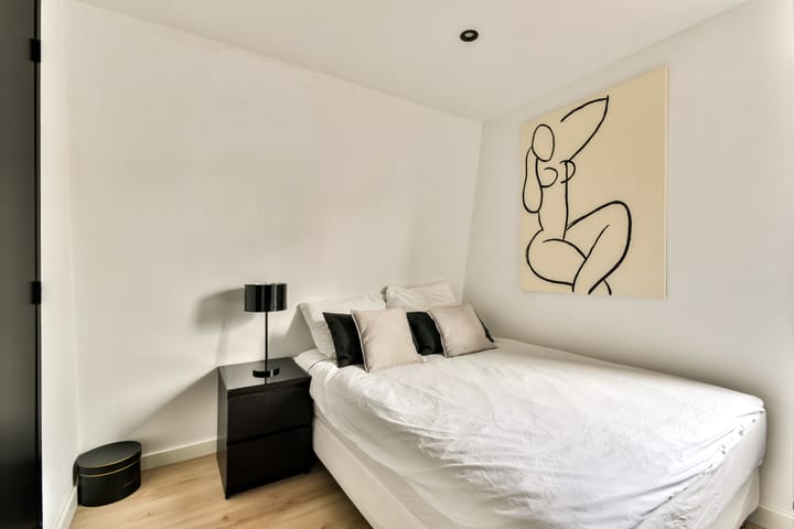 Foto 19 van Saenredamstraat 29-E