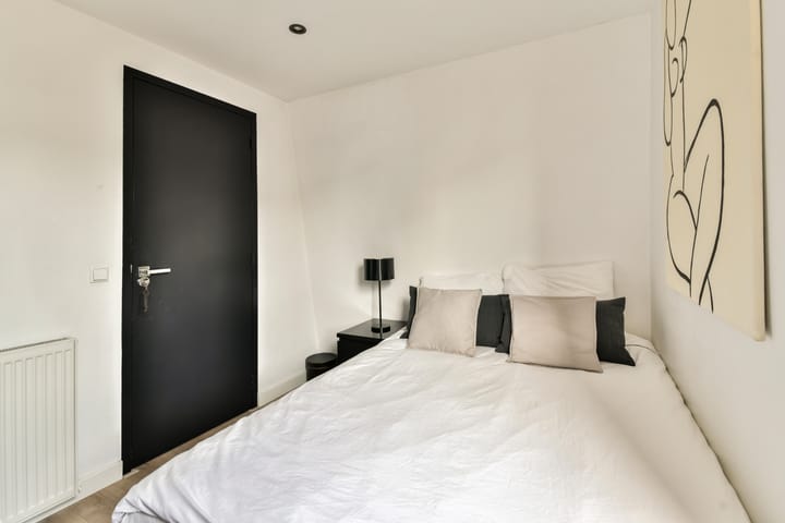 Foto 20 van Saenredamstraat 29-E