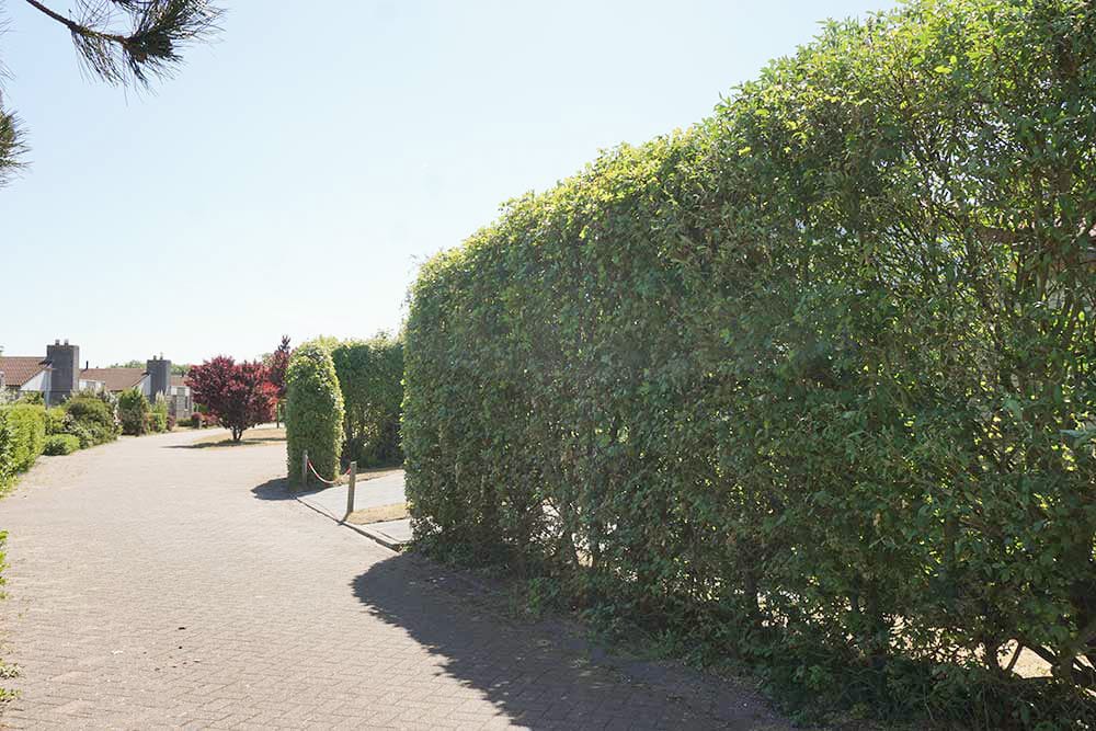 Photo 35 of Ooghduyne 207