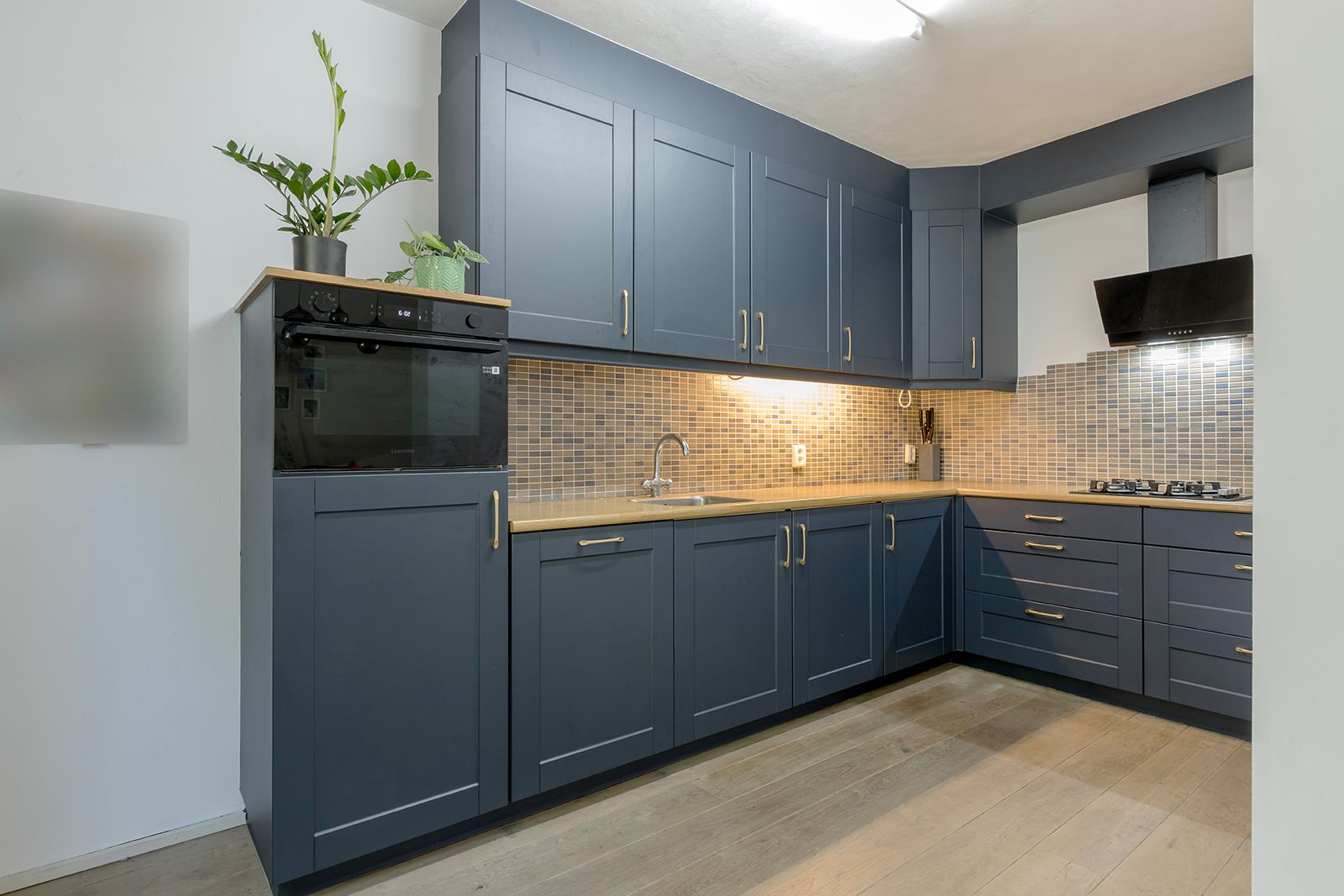 Foto 12 van Johan Frisopark 44