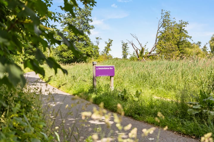 Photo 12 of Haagbeukhof 21