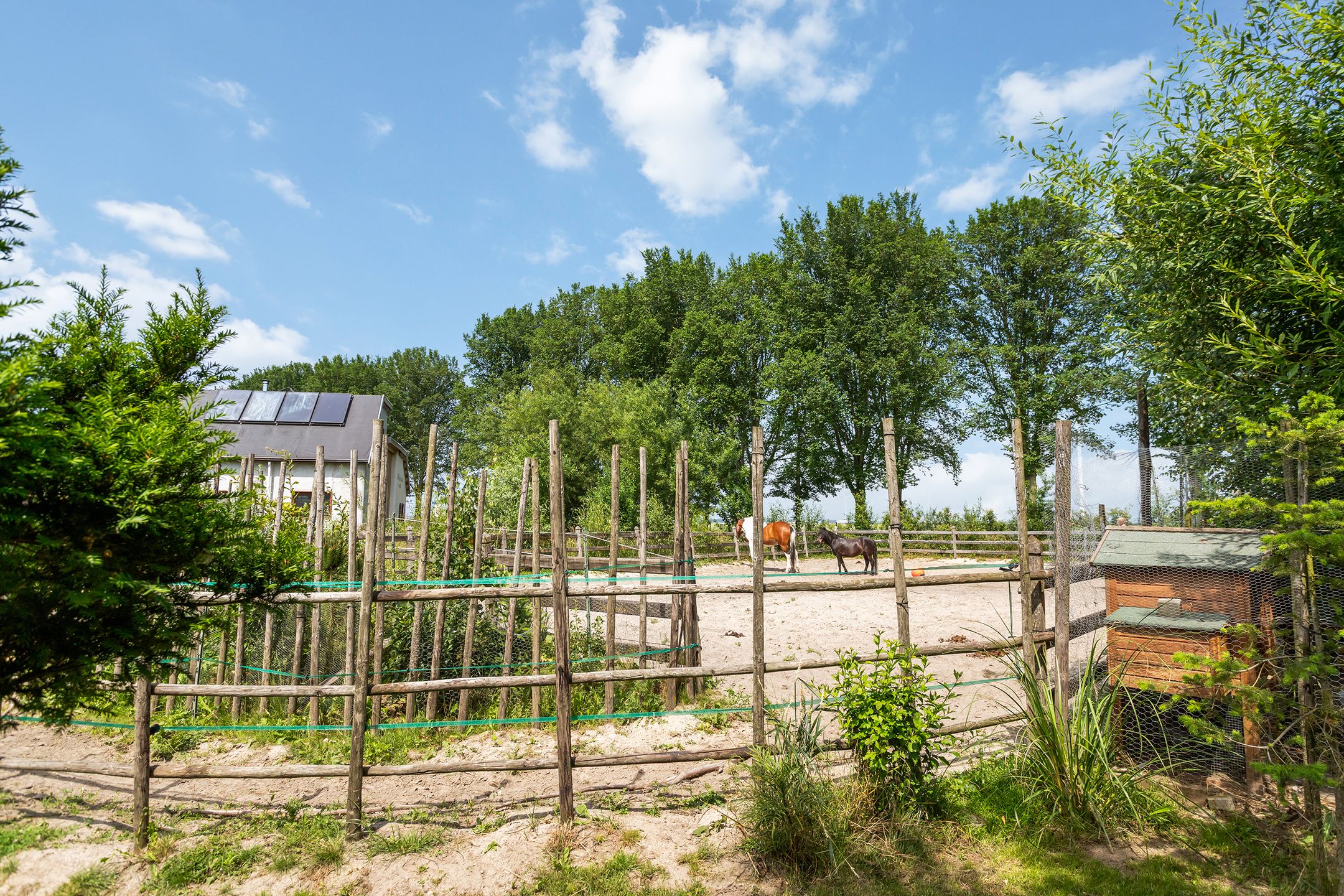 Foto 33 van James Wattweg 6