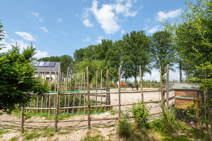 Foto 33 van James Wattweg 6