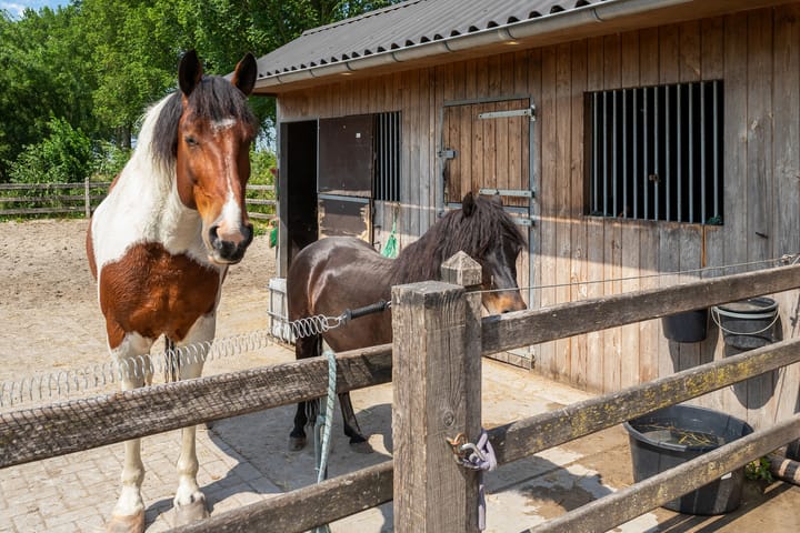 Foto 34 van James Wattweg 6