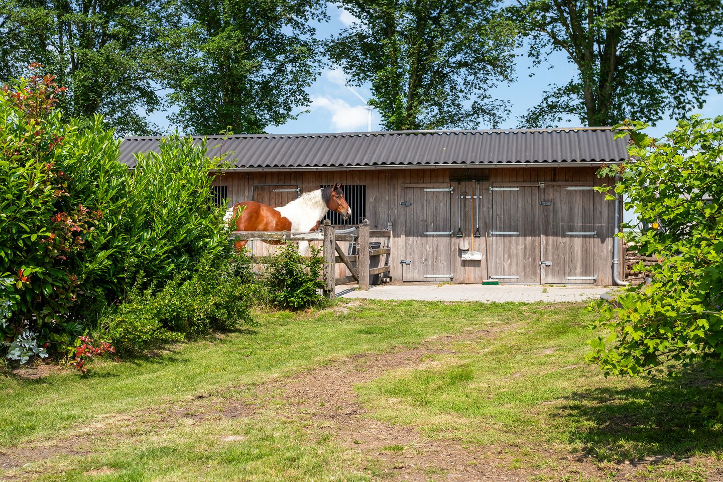 Foto 35 van James Wattweg 6