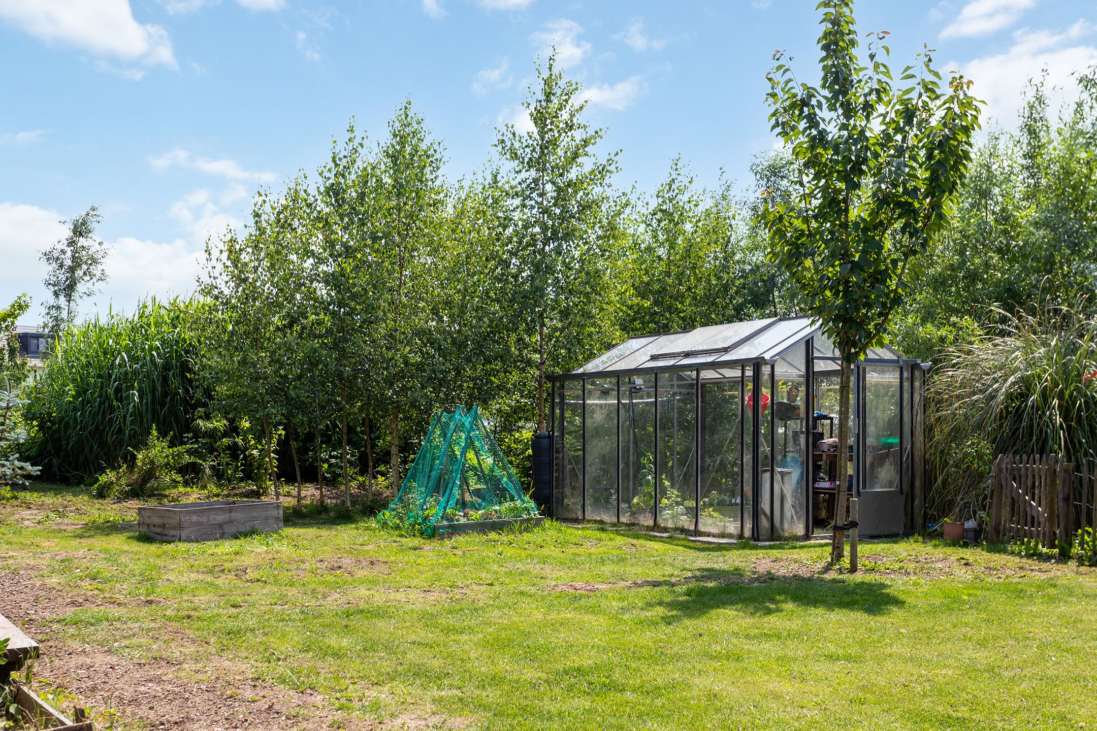 Foto 39 van James Wattweg 6