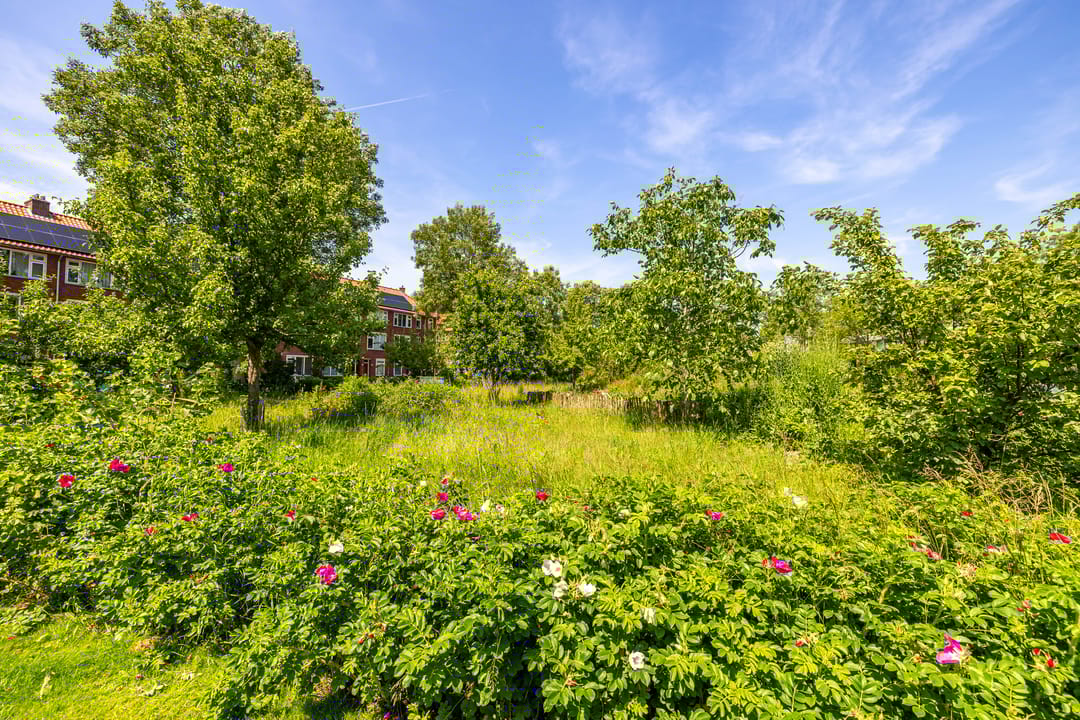 Foto 32 van Friesestraatweg 332