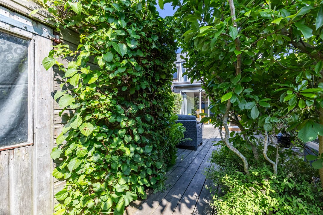 Foto 17 van De Waard 2