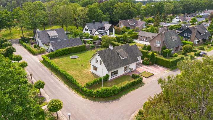 Foto 42 van Abelenlaan 1