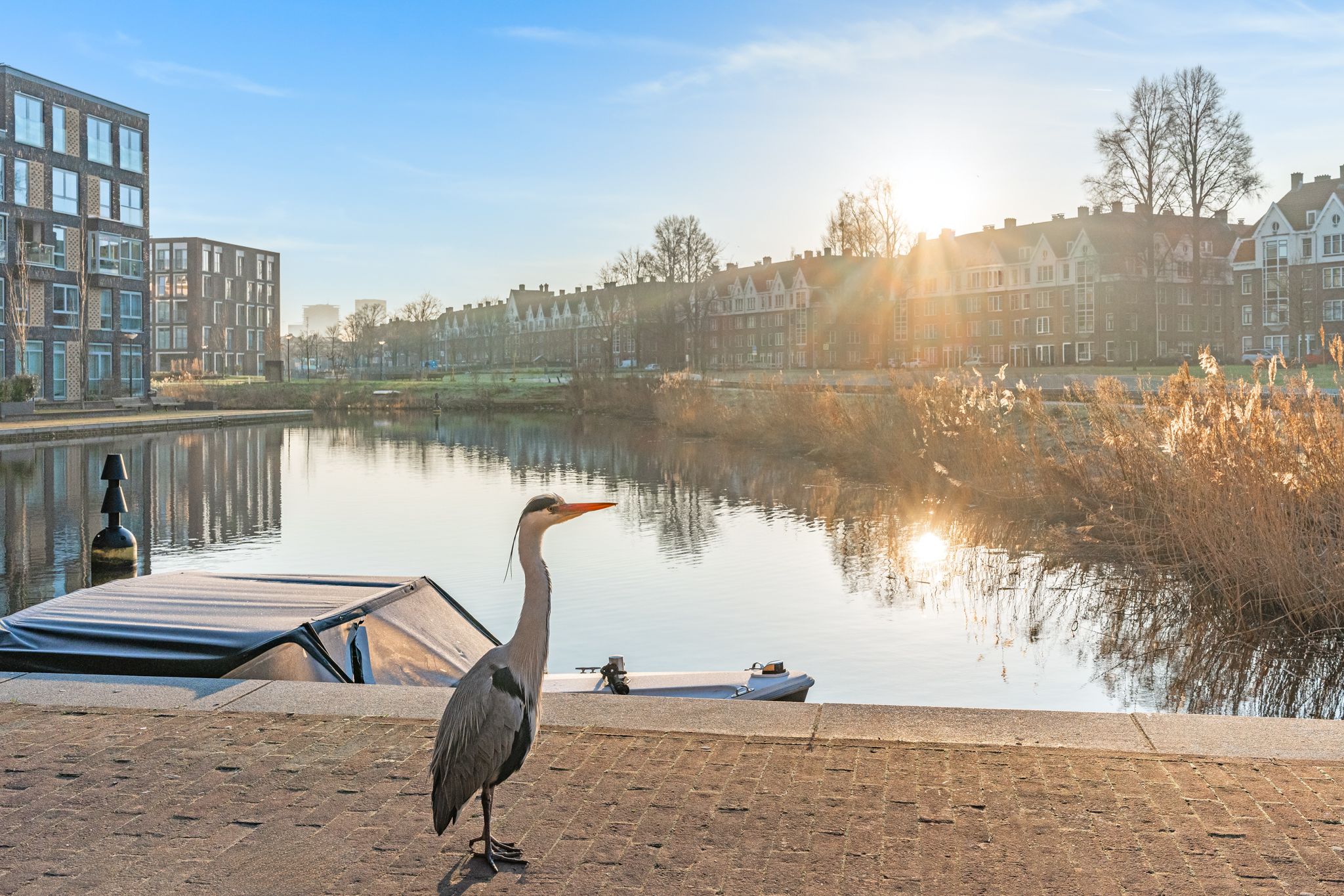 Foto 42 van Revaleiland 22