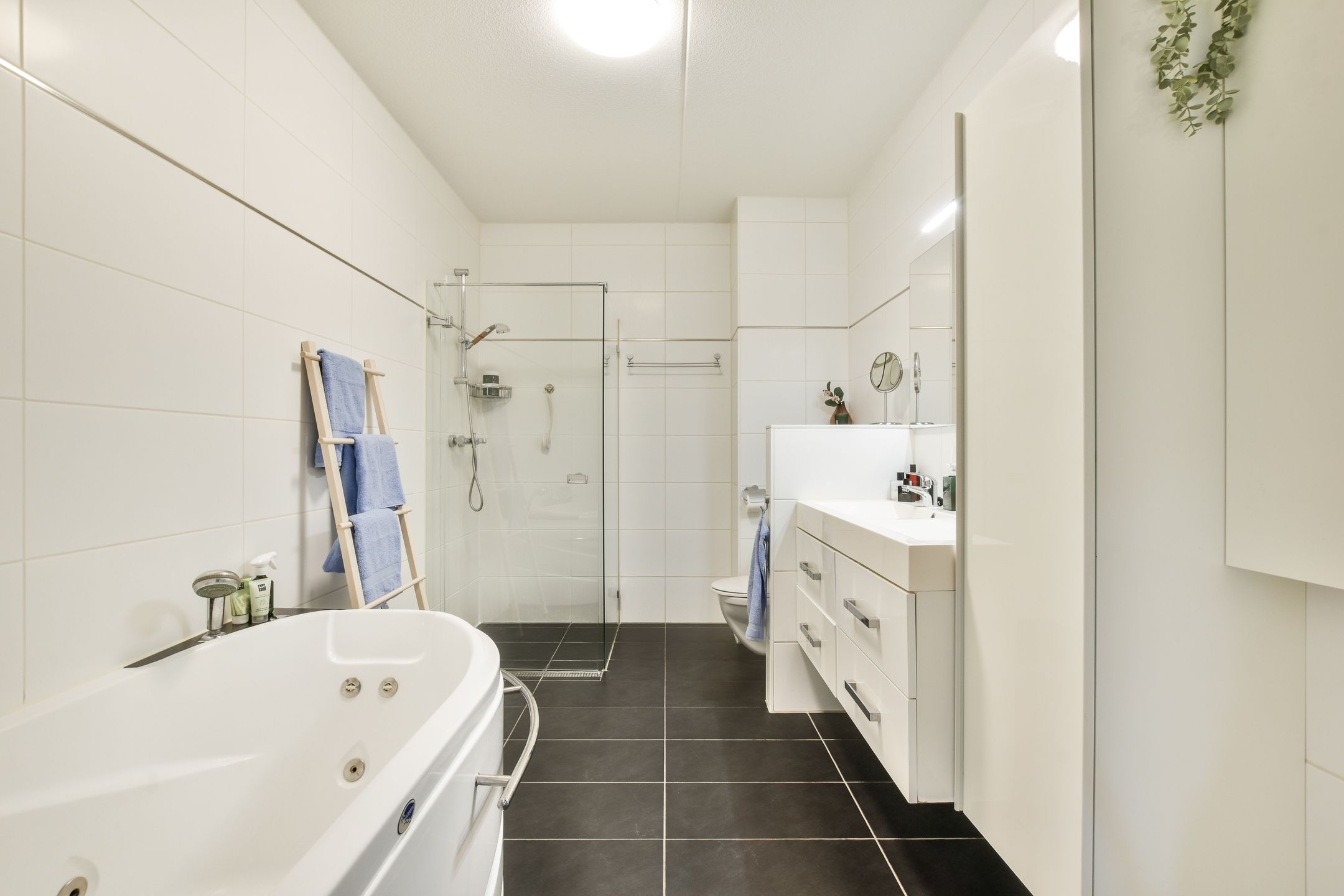 Foto 24 van IJburglaan 680