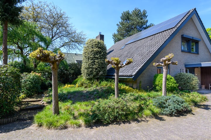 Foto 4 van Windvleugel 33