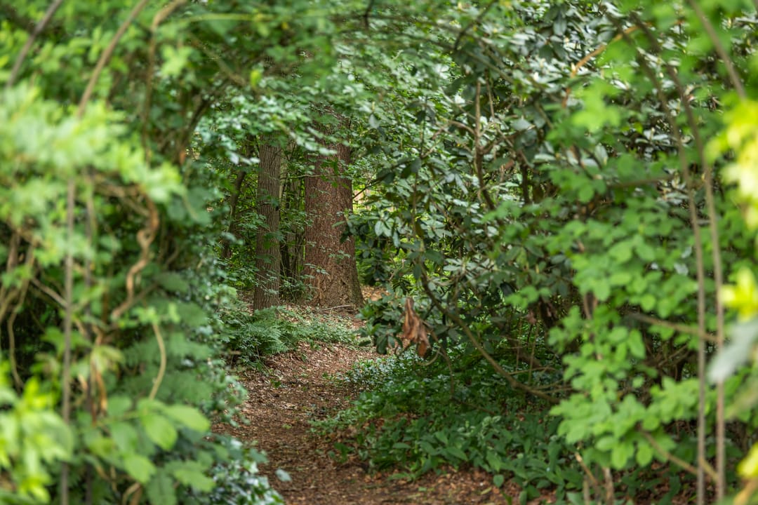 Foto 41 van Wethouder M. van Doorninckweg 23