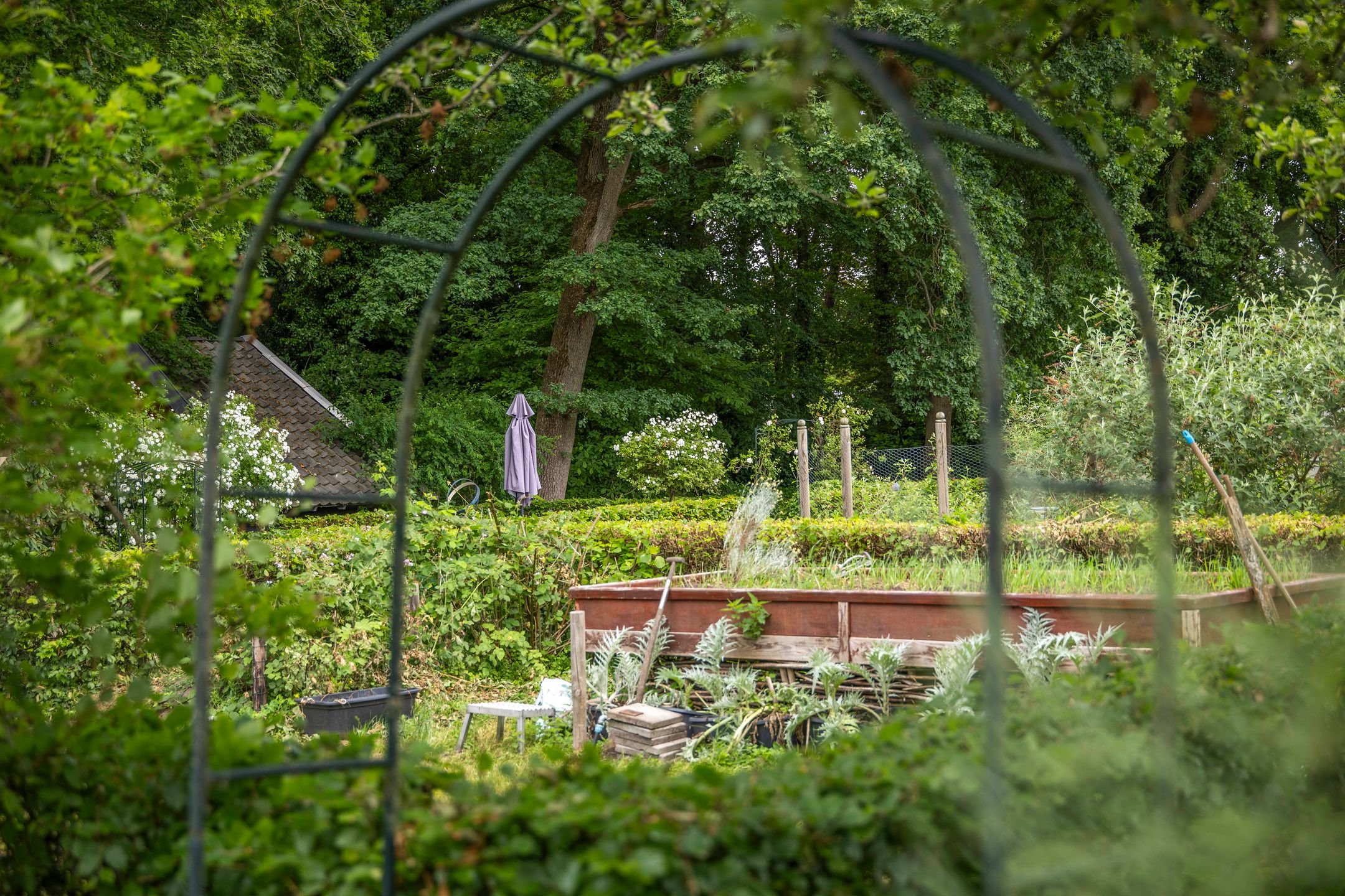 Foto 45 van Wethouder M. van Doorninckweg 23