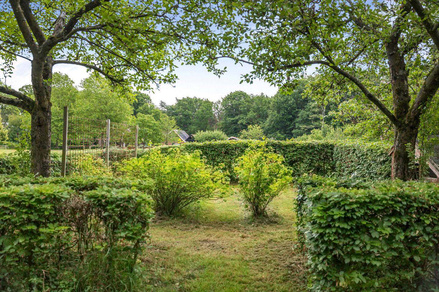 Foto 55 van Wethouder M. van Doorninckweg 23