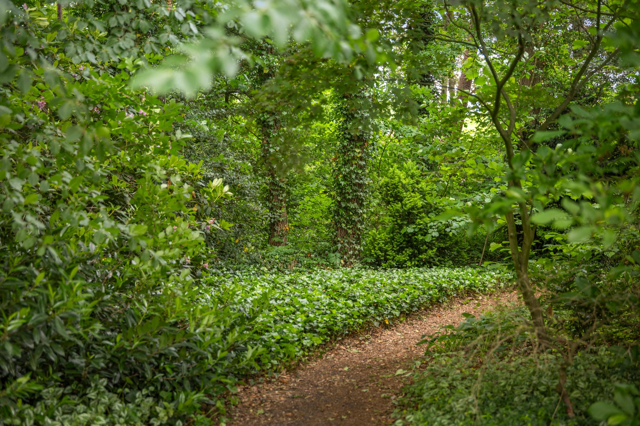 Foto 57 van Wethouder M. van Doorninckweg 23