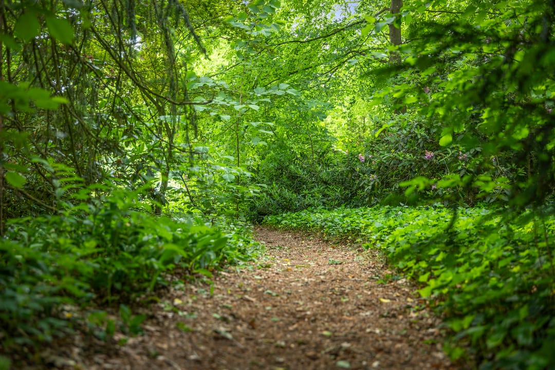 Foto 58 van Wethouder M. van Doorninckweg 23