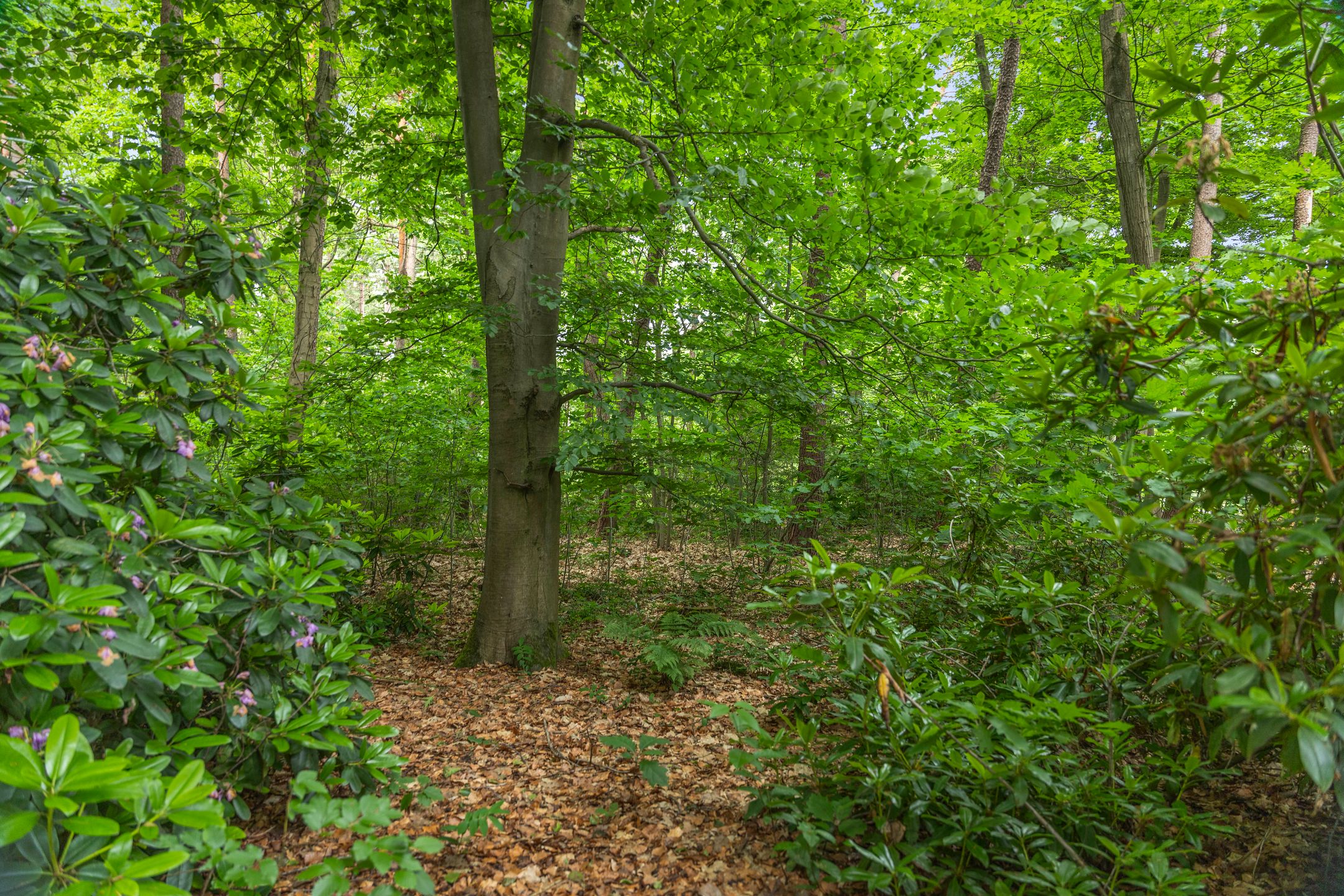 Foto 60 van Wethouder M. van Doorninckweg 23