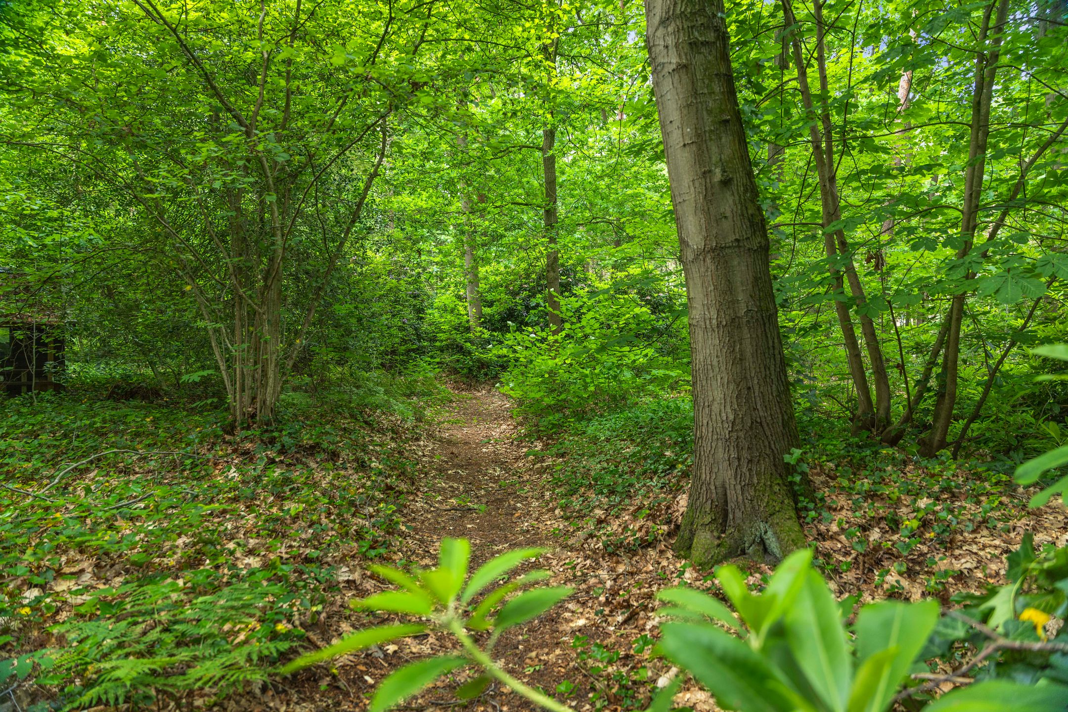 Foto 63 van Wethouder M. van Doorninckweg 23