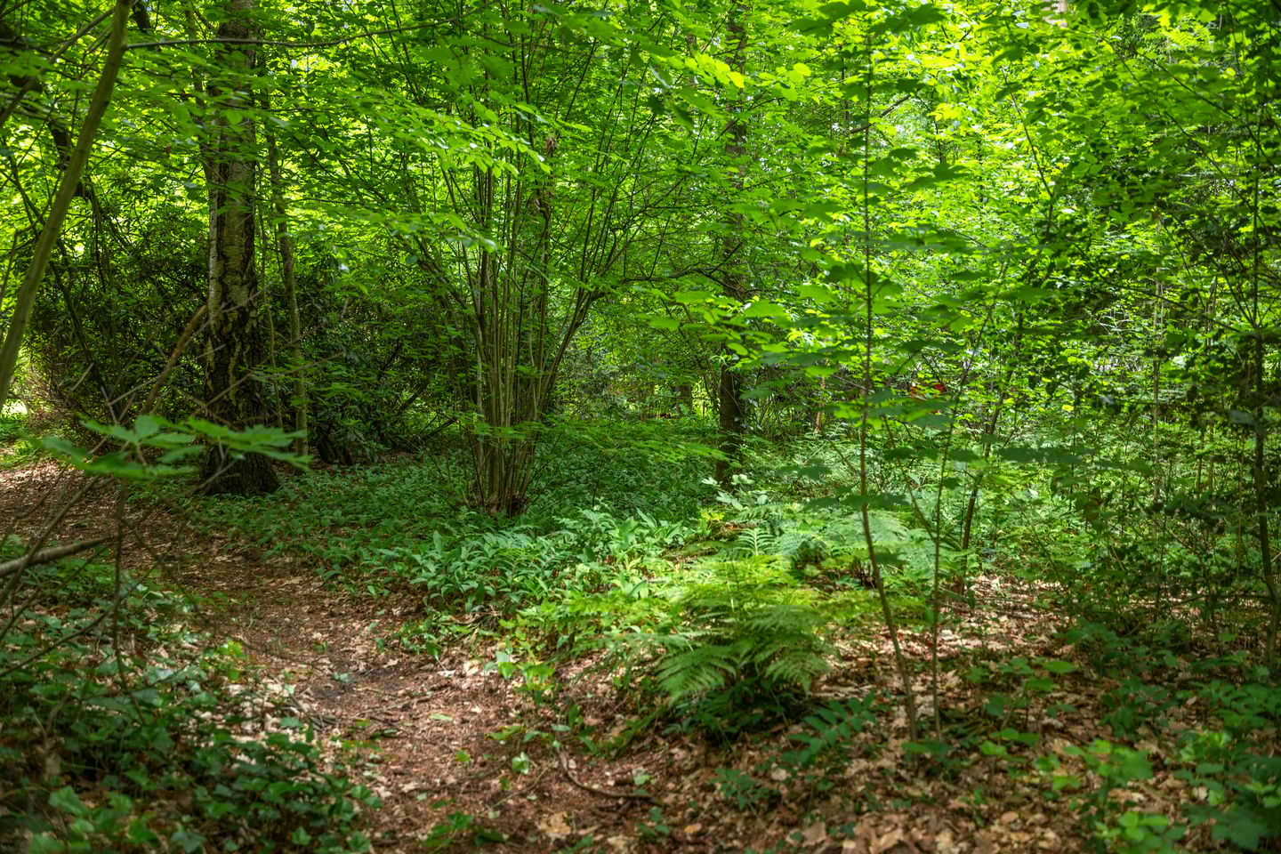 Foto 64 van Wethouder M. van Doorninckweg 23