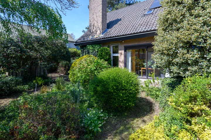 Foto 40 van Windvleugel 33