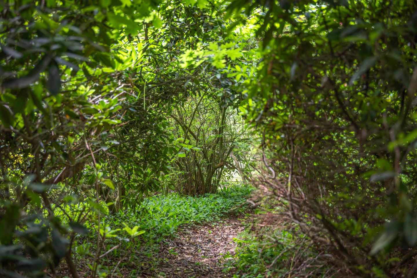 Foto 65 van Wethouder M. van Doorninckweg 23