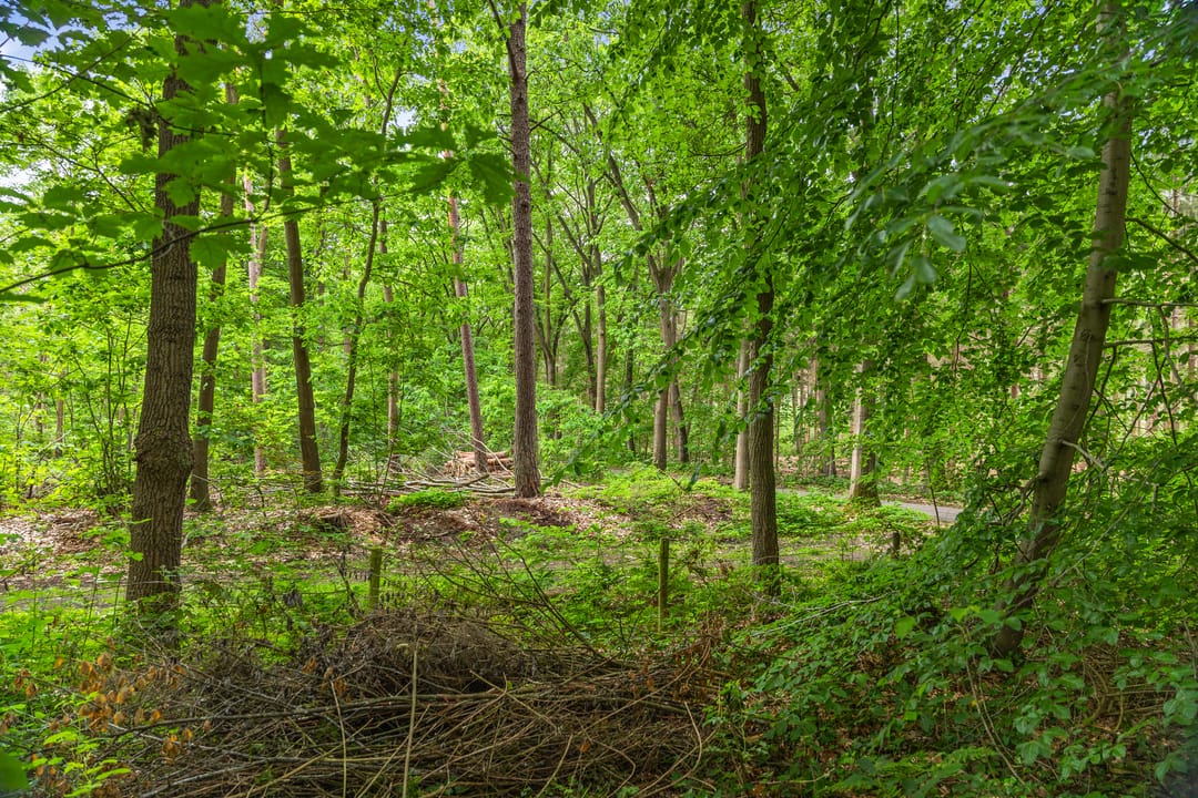 Foto 67 van Wethouder M. van Doorninckweg 23