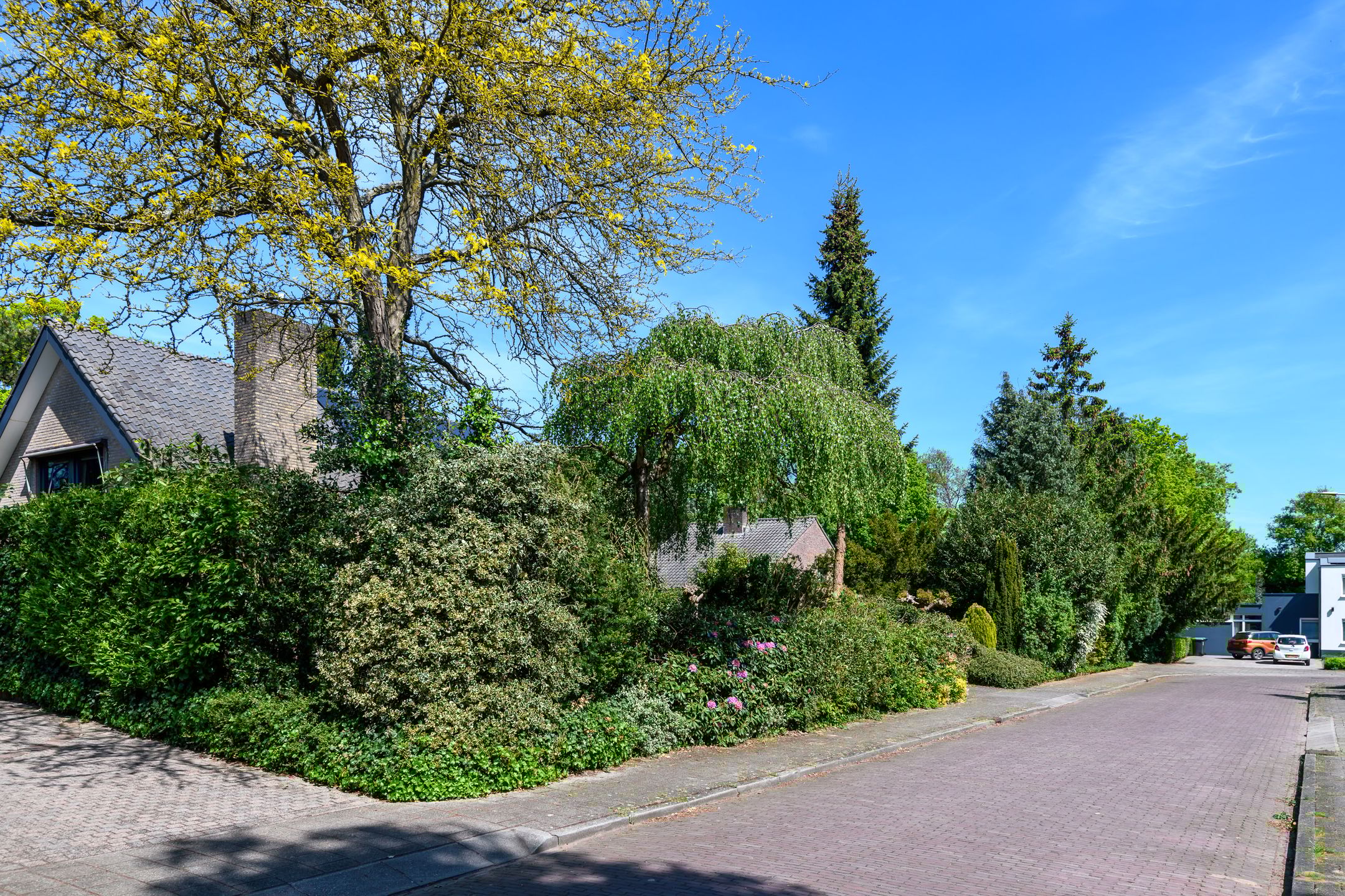 Foto 45 van Windvleugel 33