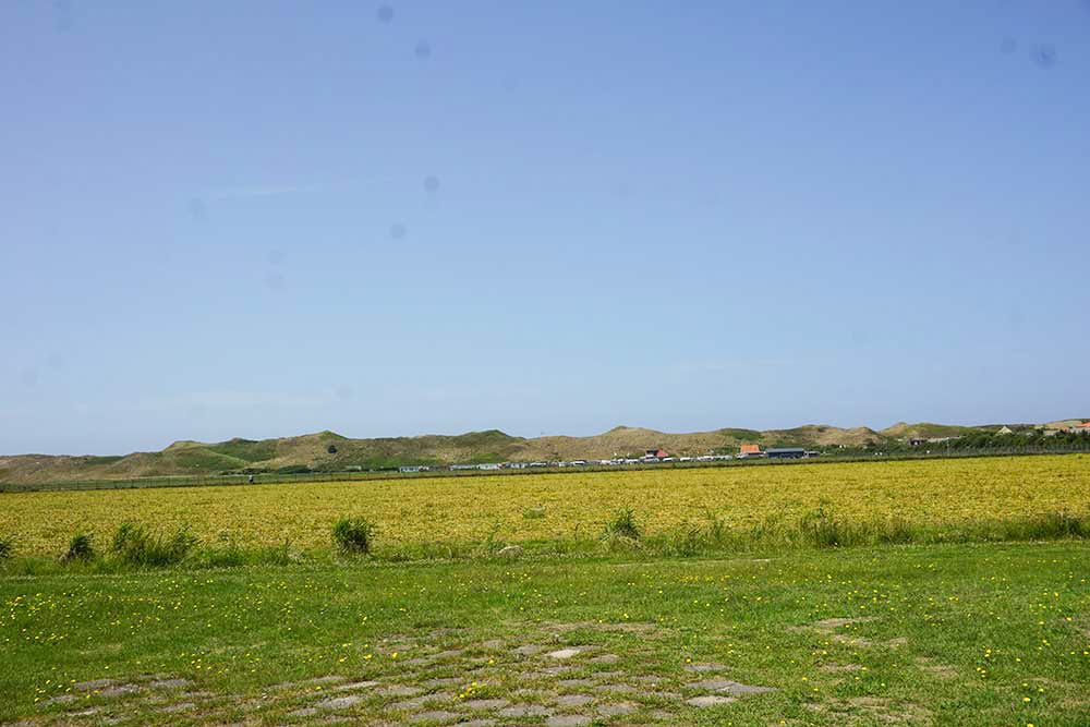 Photo 40 of Ooghduyne 207