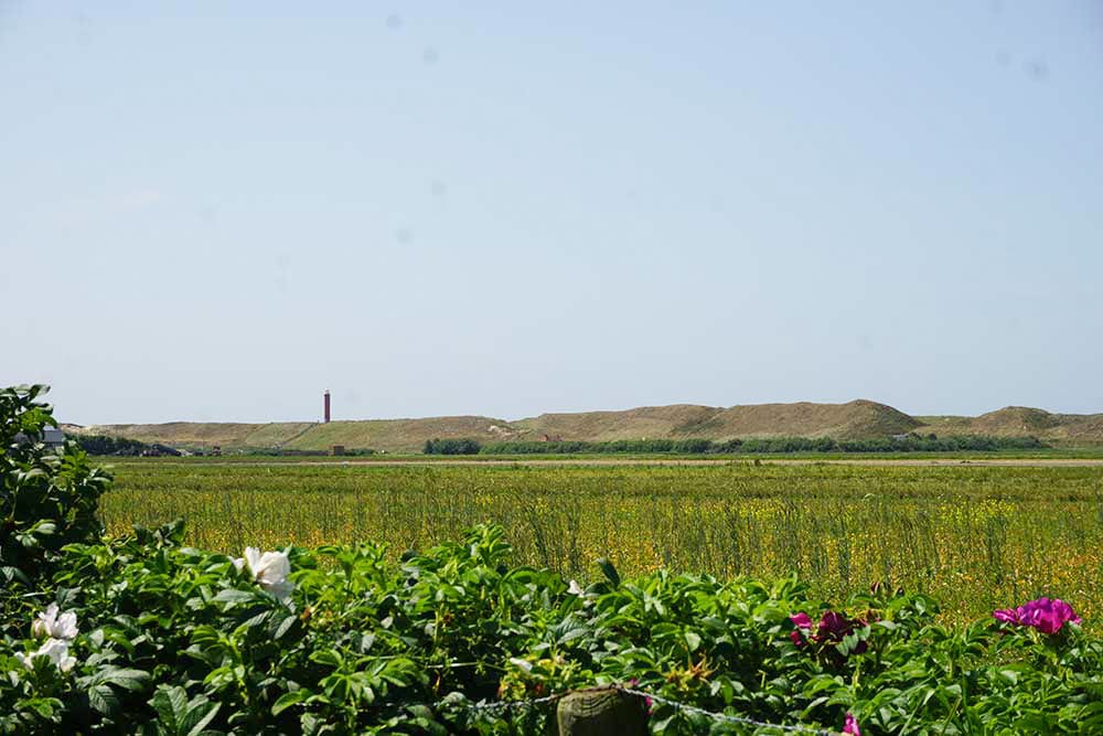 Photo 42 of Ooghduyne 207