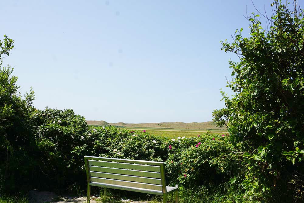 Photo 43 of Ooghduyne 207