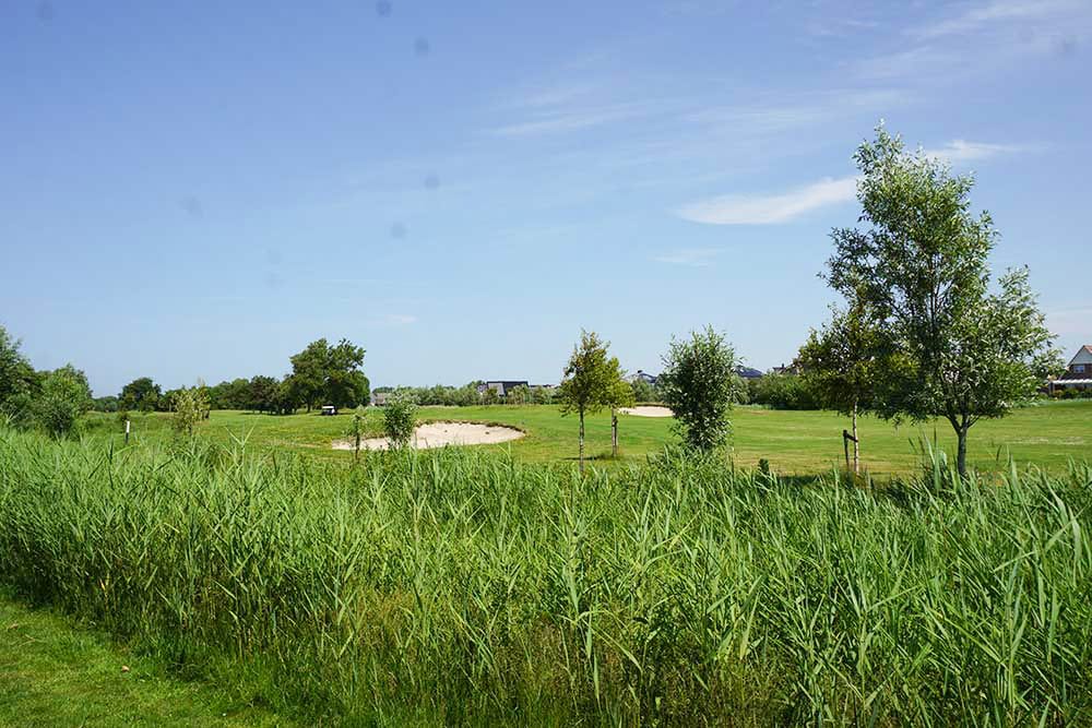 Photo 44 of Ooghduyne 207