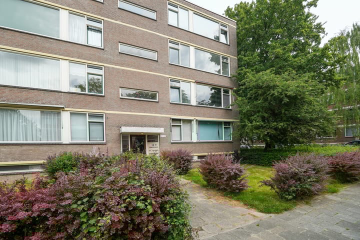 Foto 19 van Ruigoord 101