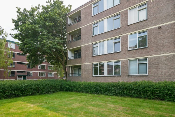 Foto 21 van Ruigoord 101