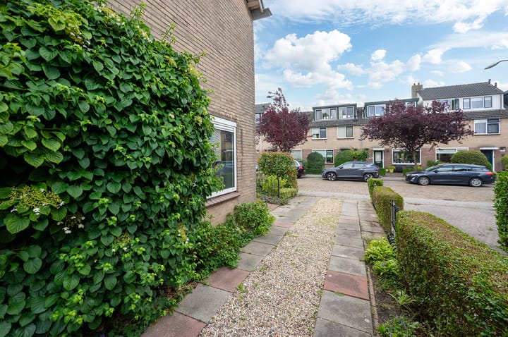 Foto 44 van Nicolaas Maesstraat 9