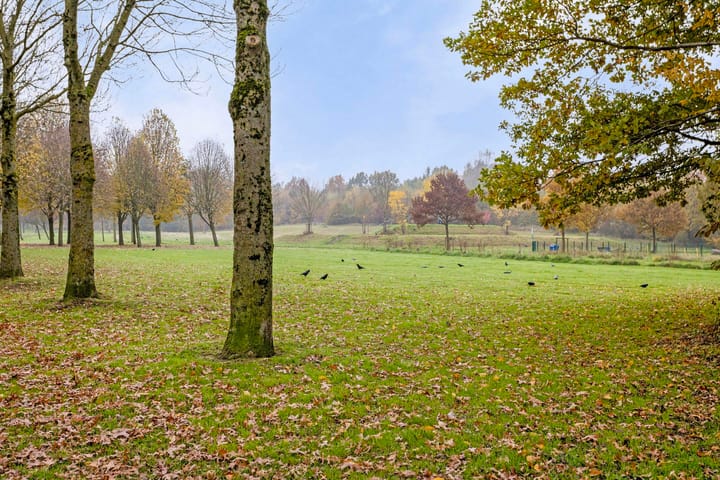 Foto 35 van Seelenstraat 16