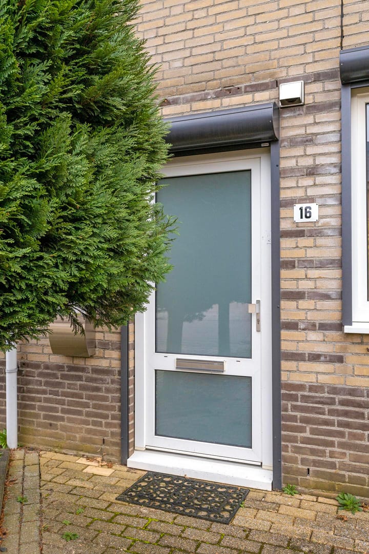 Foto 10 van Seelenstraat 16