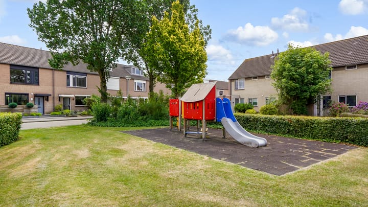 Photo 29 of Populier 98