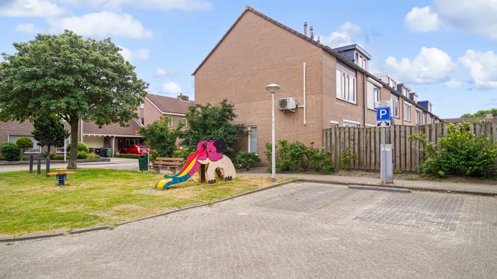 Photo 30 of Populier 98