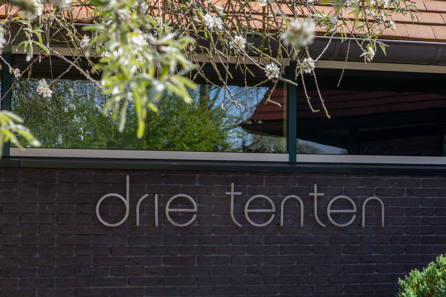 Foto 5 van Bachlaan 2