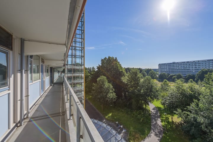 Foto 1 van Kikkenstein 3344