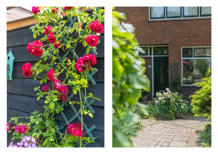 Foto 35 van Onderdijk 60