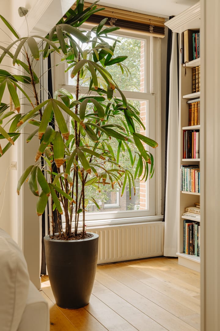 Foto 7 van Johannes Verhulststraat 122-2